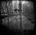 ancora una foto scattata con la Holga