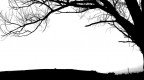 tree tree