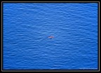 Perso nel blu. Isola del Giglio, Toscana Perso nel blu. Isola del Giglio, Toscana