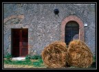 La campagna di Cinigiano, Grosseto #3 La campagna di Cinigiano, Grosseto #3