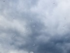 finestra + cielo finestra + cielo