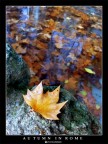 Autumn in Rome Autumn in Rome