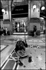 In Galleria In Galleria