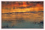 Riflessi Riflessi