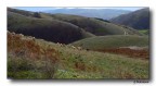 Colline Colline