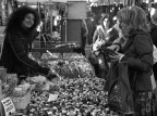 Piazzola di Bologna Piazzola di Bologna