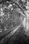 Lungo tevere 2 Lungo tevere 2