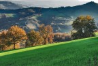 sole di Dicembre 3