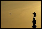 il nuovo mondo il nuovo mondo