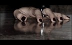 mano/ragno mano/ragno