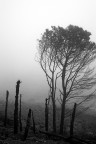 Quel che resta, sono solo ceneri Quel che resta, sono solo ceneri