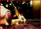 MERRY F***IN' XMAS MERRY F***IN' XMAS