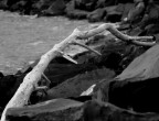 La solitudine in mare La solitudine in mare