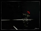All alone with my memory... All alone with my memory...