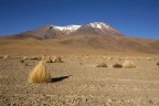 bolivia deserto del siloli vulcano bolivia deserto del siloli vulcano