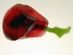 rosso sangue rosso sangue