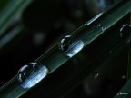 riflessi spiati riflessi spiati