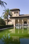 La alahambra, Granada. Gli architetti studiarono il complesso usando giochi d'acqua che mormorassero davanti ai palazzi e, riflettendoli, li facessero sembrare alti il doppio.