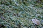 inverno inverno