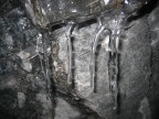 ice ice