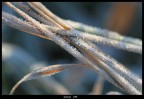 Inverno Inverno