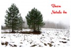 Buon Natale 4U! Buon Natale 4U!