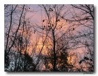 l'alba