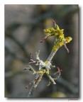 forme e colori