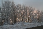 Che mondo sarebbe un Natale senza neve??? Che mondo sarebbe un Natale senza neve???