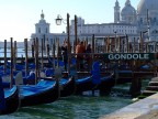 Gongole Gongole