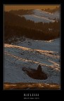 Riflessi Riflessi