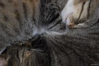 Together Together