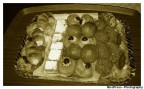 Antichi sapori senza età! Antichi sapori senza età!