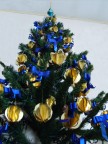 l'albero delle meraviglie l'albero delle meraviglie