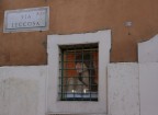Leccosa Leccosa