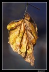 Autunno inoltrato... Autunno inoltrato...