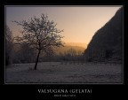 Gelata (Controluce) Gelata (Controluce)