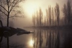 Nebbie sul lago Nebbie sul lago