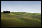 Ancora i Cipressi di San Quirico D'Orcia... Ancora i Cipressi di San Quirico D'Orcia...