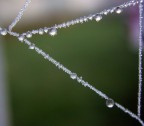 il triangolo il triangolo