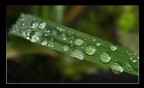 water drops water drops