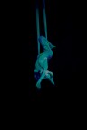 Magie del circo Magie del circo