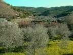 Panorama( Buccheri)-SR Panorama( Buccheri)-SR