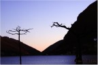 Lugano addio Lugano addio