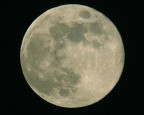 LUNA LUNA