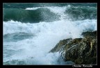 la forza del mare la forza del mare