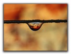 drop 4 drop 4