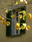 Autunno inoltrato Autunno inoltrato