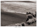 Terra madre Terra madre