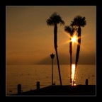 tramonto "palmifero" :p